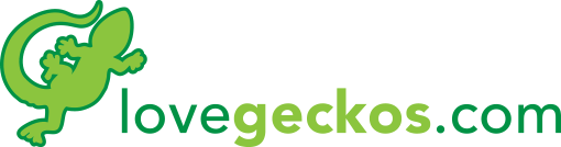 lovegeckos.com